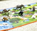 Wild Playmat Safari