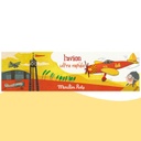 Piper plane Moulin Roty