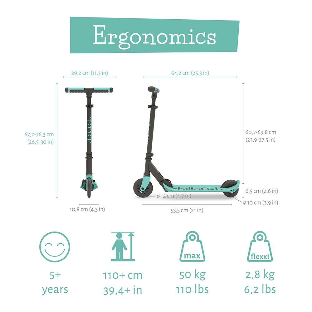 Flexxi (Mint) Chillafish