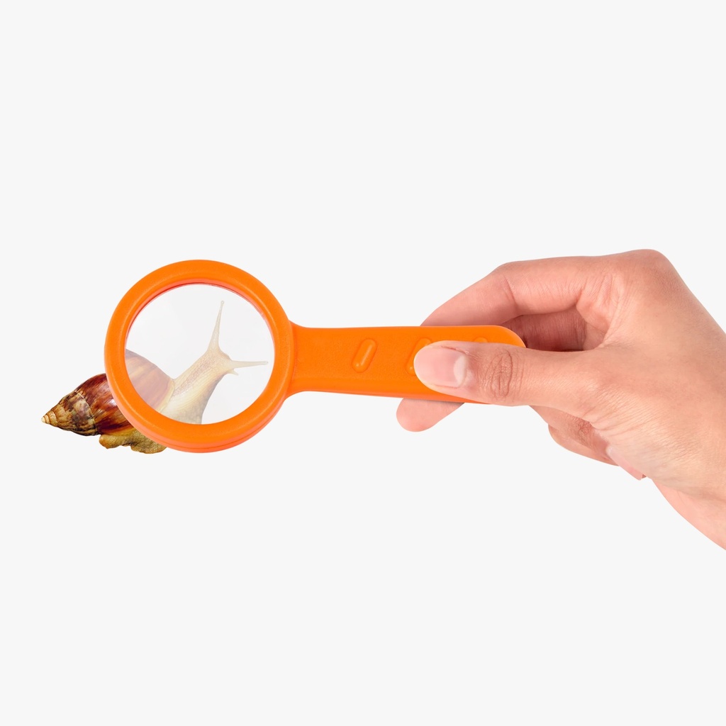 Aspirador De Insectos Con Accesorios B.Toys