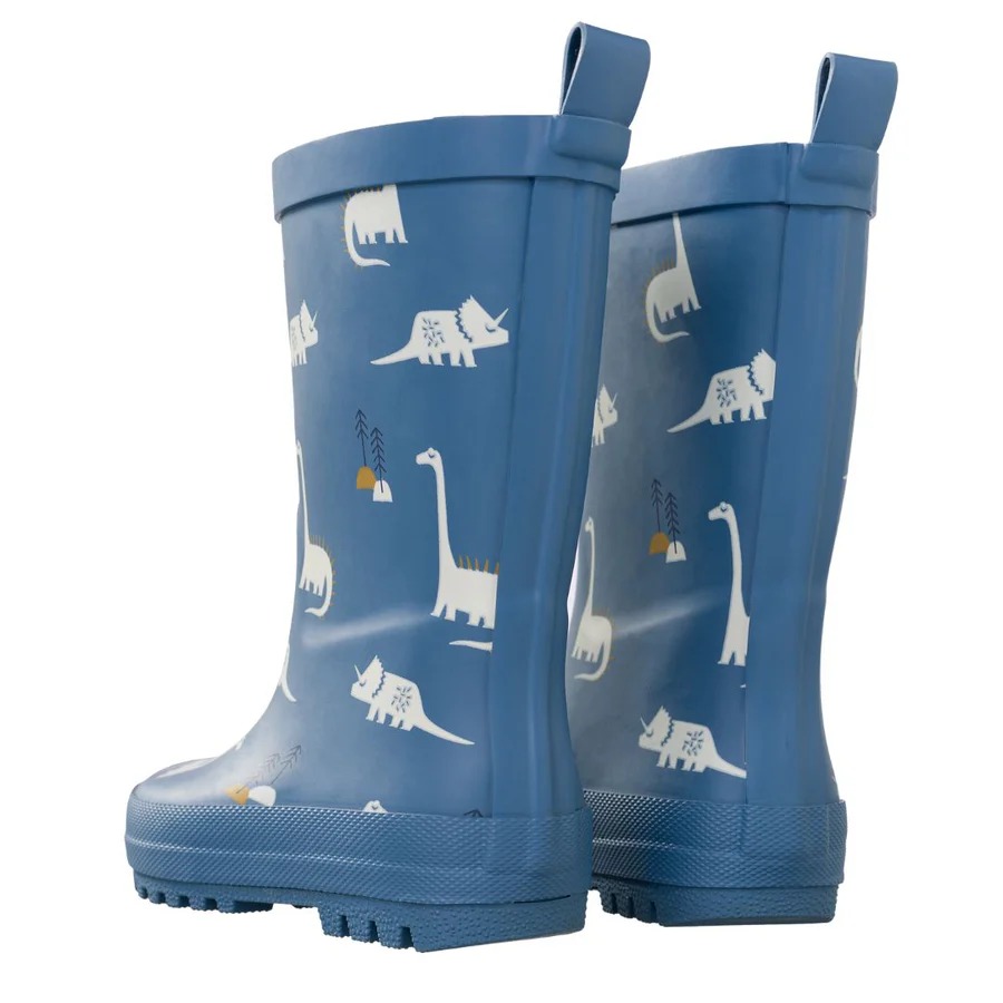 Rainboots Dino Mt 22 Fresk