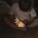 Kidynight Veladora Koala Kidywolf