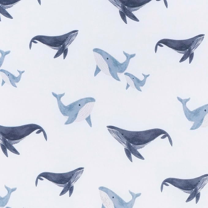 Crib Sheet B01 - Ballenas Gerber