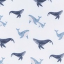 Crib Sheet B01 - Ballenas Gerber