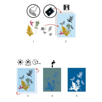 Cyanotype Paper Djeco