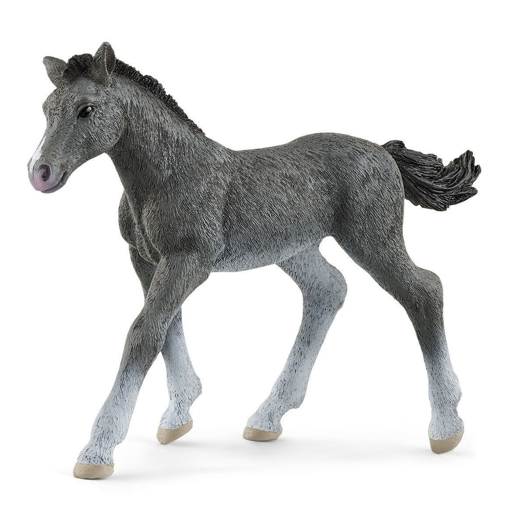 Trakehner Foal Schleich