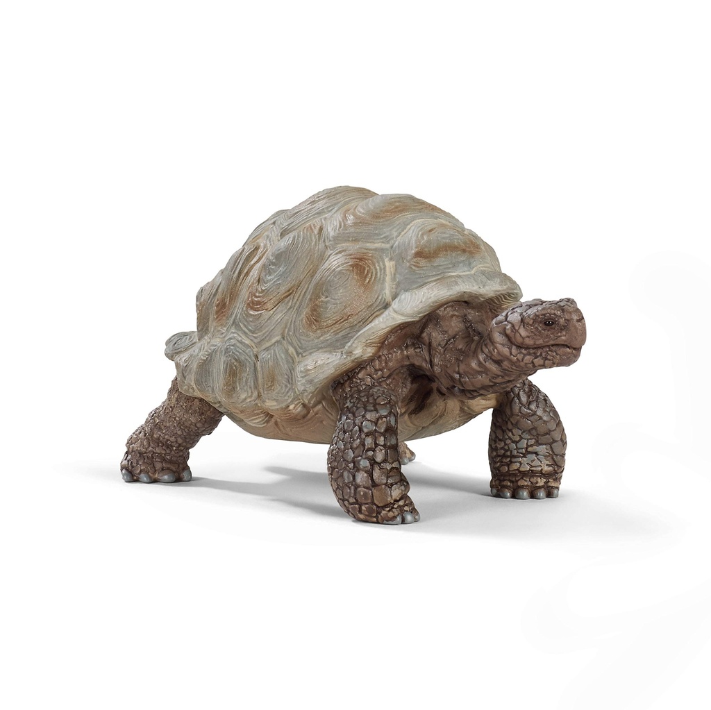 Giant Tortoise Schleich