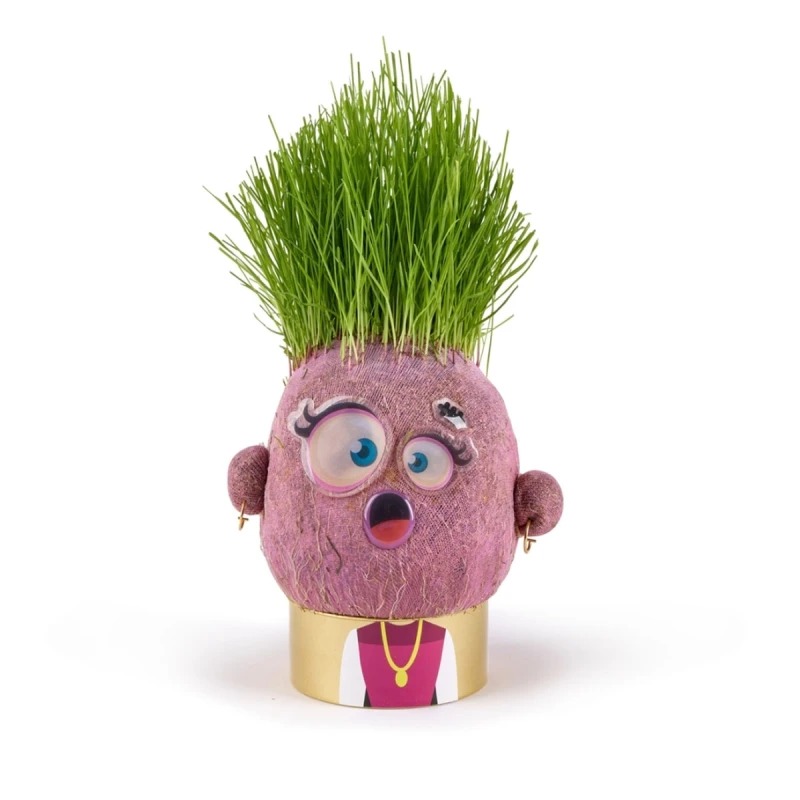 Plant Pals - Surprised Sandra Hape