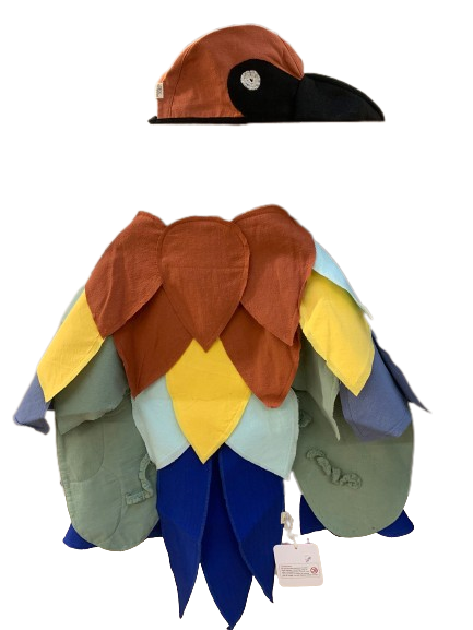 Disfraz Pajaro Achara Ojos Grandes