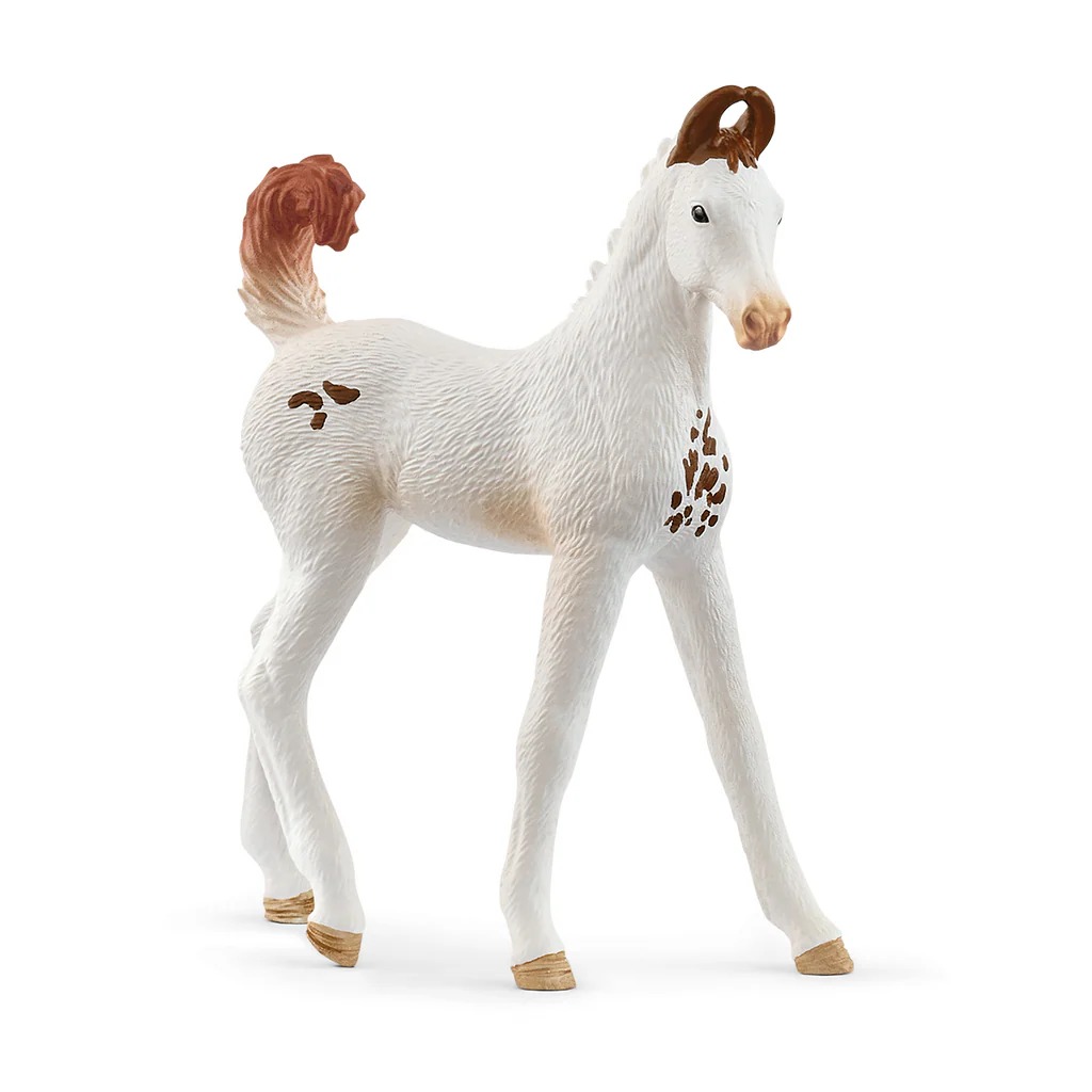 Marwari Foal Schleich