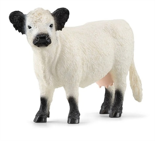 [13960] Galloway Cattle Schleich