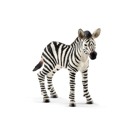 [14811] Zebra Foal Schleich