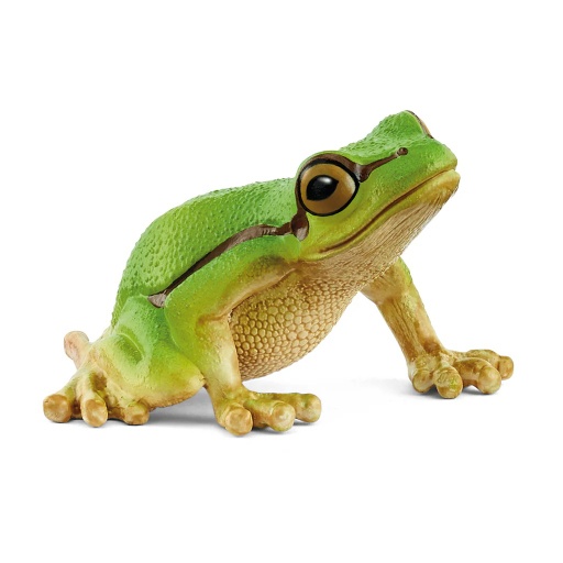 [4059433762302] European Tree Frog