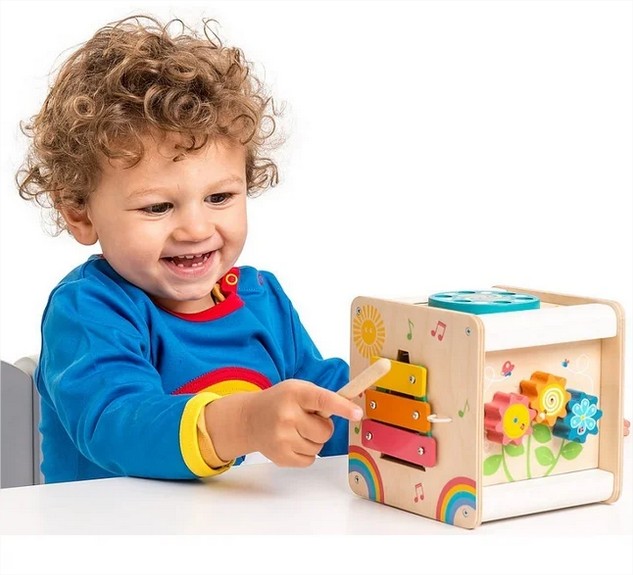 Cubo De Actividades Multifuncional Le Toy Van