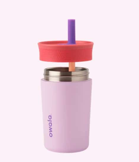 Vaso termico con sorbito Acero inoxidable Lila/Rosa Owala