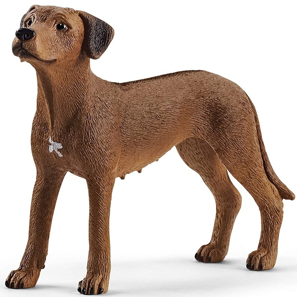 Rhodesian Ridgeback Schleich