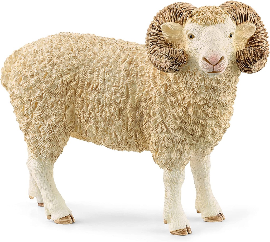 Ram Schleich