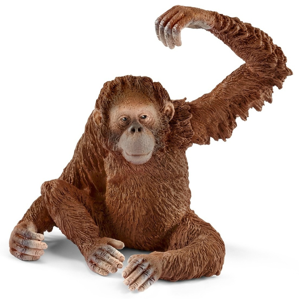 Orangutan, Female Schleich