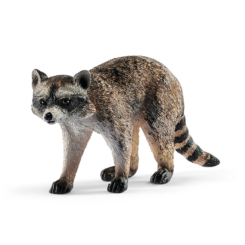 Raccoon Schleich