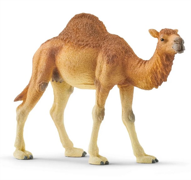 Dromedary Schleich