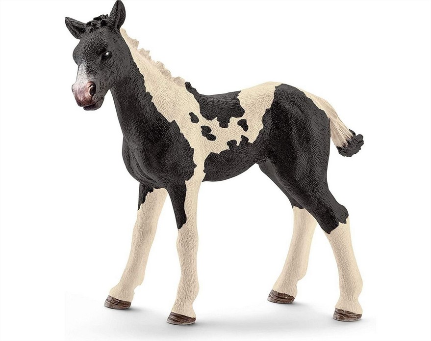 Pinto Foal Schleich