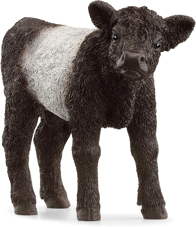 Galloway Calf Schleich