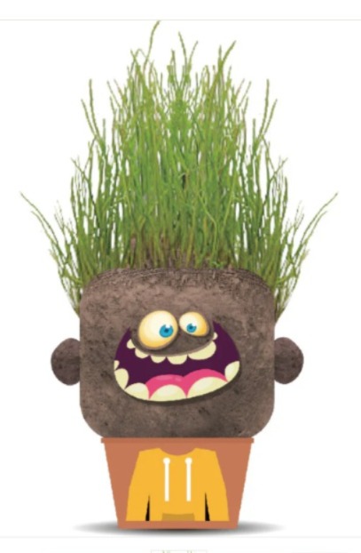 Plant Pals - Happy Hank Hape