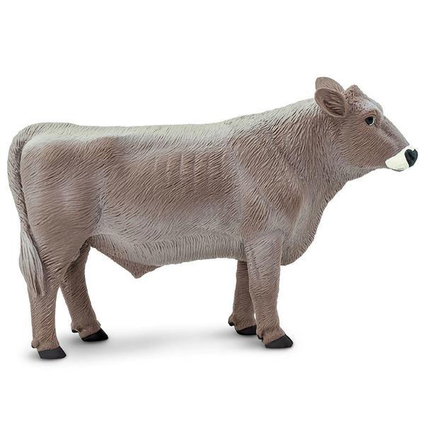 Brown Swiss Bull Safari