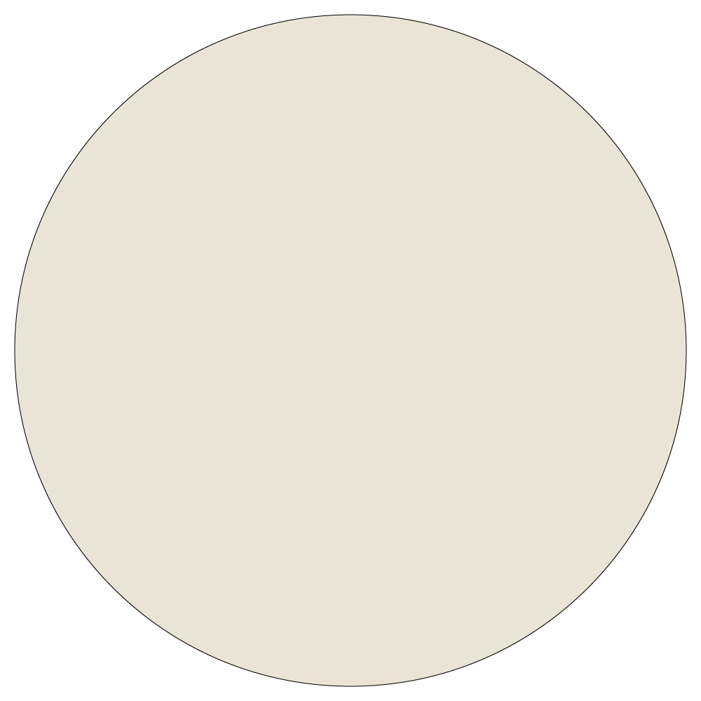 Individual Liso Circular - Beige Mister Kook