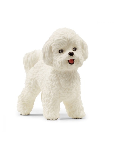 [13963] Bichon Frise Schleich