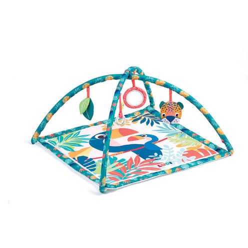 [LD20015] Gimnasio Toucan Ludi