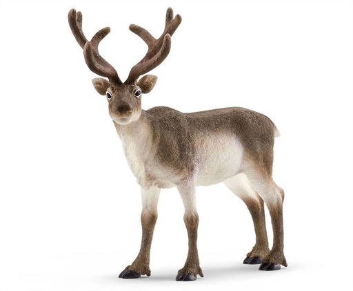 [14837] Reindeer Schleich