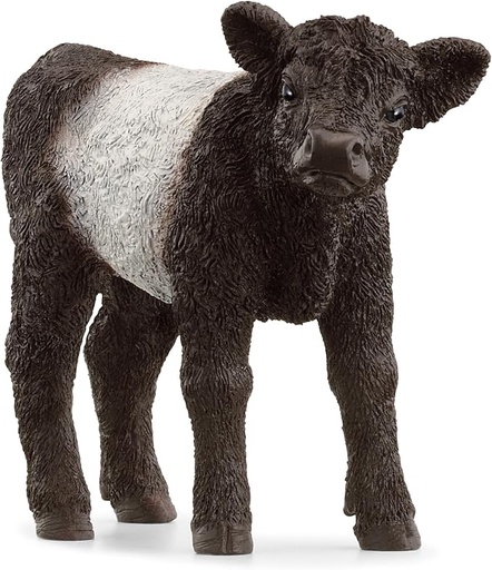 [13969] Galloway Calf Schleich