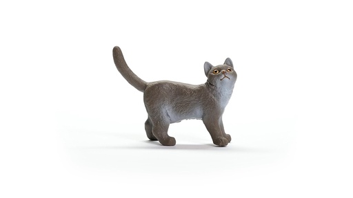 [13973] British Shorthair Cat Schleich