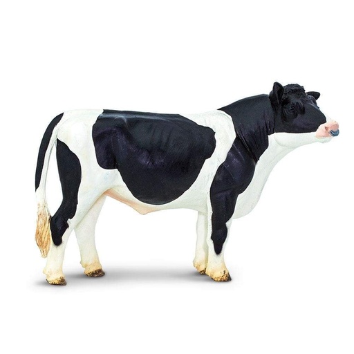 [095866246907] Holstein Bull Safari