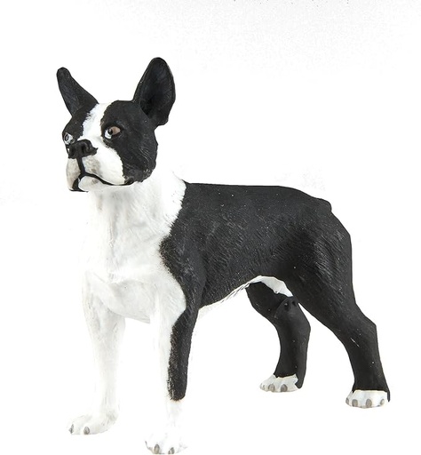 [255029] Boston Terrier Safari