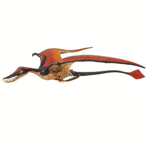 [095866300302] Rhamphorhynchus Safari