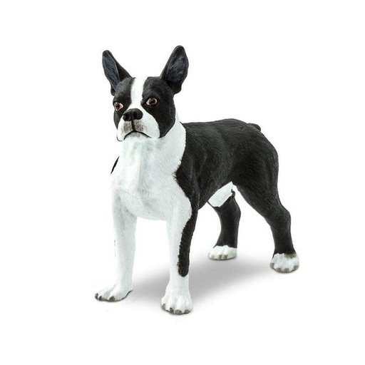 [095866001131] Boston Terrier Safari